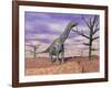 Argentinosaurus Standing on the Cracked Desert Ground Next to Dead Trees-null-Framed Art Print