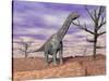 Argentinosaurus Standing on the Cracked Desert Ground Next to Dead Trees-null-Stretched Canvas