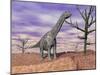 Argentinosaurus Standing on the Cracked Desert Ground Next to Dead Trees-null-Mounted Art Print