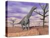 Argentinosaurus Standing on the Cracked Desert Ground Next to Dead Trees-null-Stretched Canvas