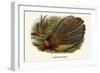 Argus Pheasant-Birds Of Asia-John Gould-Framed Premium Giclee Print