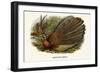 Argus Pheasant-Birds Of Asia-John Gould-Framed Art Print