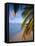 Ari Atoll, White Sands Island and Resort-Angelo Cavalli-Framed Stretched Canvas