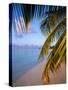 Ari Atoll, White Sands Island and Resort-Angelo Cavalli-Stretched Canvas