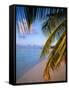 Ari Atoll, White Sands Island and Resort-Angelo Cavalli-Framed Stretched Canvas
