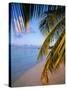 Ari Atoll, White Sands Island and Resort-Angelo Cavalli-Stretched Canvas