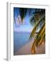 Ari Atoll, White Sands Island and Resort-Angelo Cavalli-Framed Premium Photographic Print