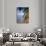 Ari Atoll, White Sands Island and Resort-Angelo Cavalli-Premium Photographic Print displayed on a wall