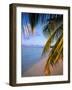 Ari Atoll, White Sands Island and Resort-Angelo Cavalli-Framed Photographic Print