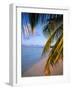 Ari Atoll, White Sands Island and Resort-Angelo Cavalli-Framed Photographic Print