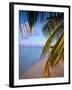 Ari Atoll, White Sands Island and Resort-Angelo Cavalli-Framed Photographic Print