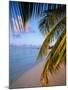 Ari Atoll, White Sands Island and Resort-Angelo Cavalli-Mounted Photographic Print