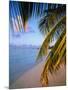 Ari Atoll, White Sands Island and Resort-Angelo Cavalli-Mounted Photographic Print