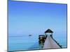 Ari Atoll, White Sands Island and Resort-Angelo Cavalli-Mounted Photographic Print