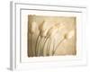 Aria II-Amy Melious-Framed Premium Giclee Print