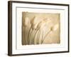 Aria II-Amy Melious-Framed Premium Giclee Print