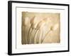 Aria II-Amy Melious-Framed Premium Giclee Print