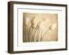 Aria II-Amy Melious-Framed Premium Giclee Print