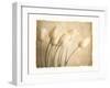 Aria II-Amy Melious-Framed Premium Giclee Print