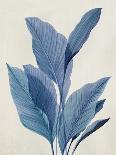 Blue Palm Leaves II-Aria K-Art Print