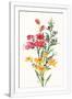 Gramercy White