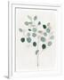 Gramercy White