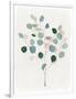 Gramercy White