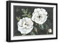 Black Frame