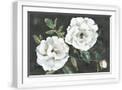 White Frame