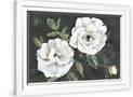 Gramercy White