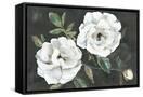 Canvas Black