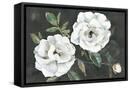 Canvas Black