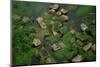 Arial View of Rainforest Village-W. Perry Conway-Mounted Photographic Print