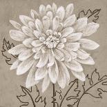 White Chalk Flower 2-Ariane Martine-Art Print