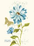 November Blue Chrysanthemum-Ariane Sarah-Art Print