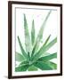 Arid - Aloe-Kristine Hegre-Framed Giclee Print