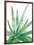 Arid - Aloe-Kristine Hegre-Framed Giclee Print