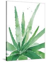 Arid - Aloe-Kristine Hegre-Stretched Canvas