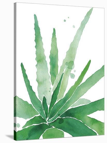 Arid - Aloe-Kristine Hegre-Stretched Canvas