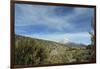 Arid Altiplano landscape, Sajama National Park, Bolivia-Anthony Asael-Framed Photographic Print