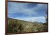 Arid Altiplano landscape, Sajama National Park, Bolivia-Anthony Asael-Framed Photographic Print