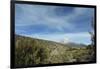 Arid Altiplano landscape, Sajama National Park, Bolivia-Anthony Asael-Framed Photographic Print