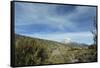 Arid Altiplano landscape, Sajama National Park, Bolivia-Anthony Asael-Framed Stretched Canvas