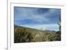 Arid Altiplano landscape, Sajama National Park, Bolivia-Anthony Asael-Framed Photographic Print