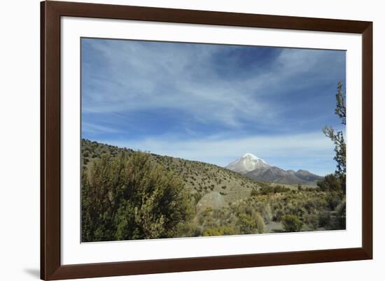 Arid Altiplano landscape, Sajama National Park, Bolivia-Anthony Asael-Framed Photographic Print