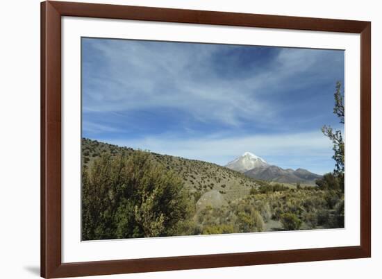 Arid Altiplano landscape, Sajama National Park, Bolivia-Anthony Asael-Framed Photographic Print