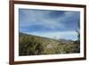 Arid Altiplano landscape, Sajama National Park, Bolivia-Anthony Asael-Framed Photographic Print