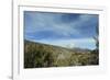 Arid Altiplano landscape, Sajama National Park, Bolivia-Anthony Asael-Framed Photographic Print