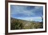 Arid Altiplano landscape, Sajama National Park, Bolivia-Anthony Asael-Framed Photographic Print