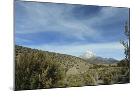 Arid Altiplano landscape, Sajama National Park, Bolivia-Anthony Asael-Mounted Photographic Print